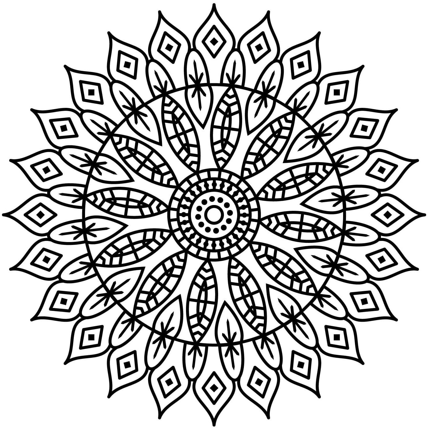 7026355 1475 e1785956831308